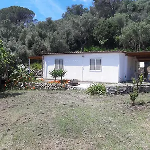 Casa vacanze Garden House Q4527